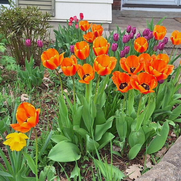 Meet your Posher, Katherine - Picture 1 of 1